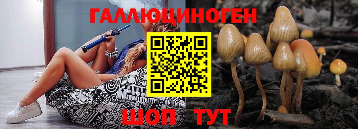 Псилоцибиновые грибы Magic Shrooms  Вход с VPN  Тавда 